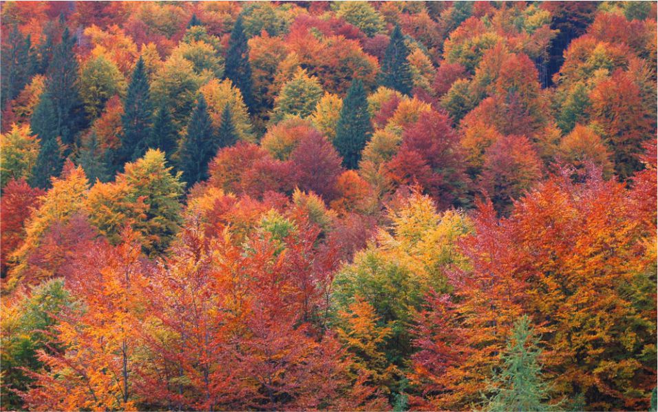 1591143515161602.jpg 50.jpg