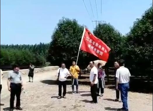 1596016370693465.jpg QQ截圖20200729174827.jpg