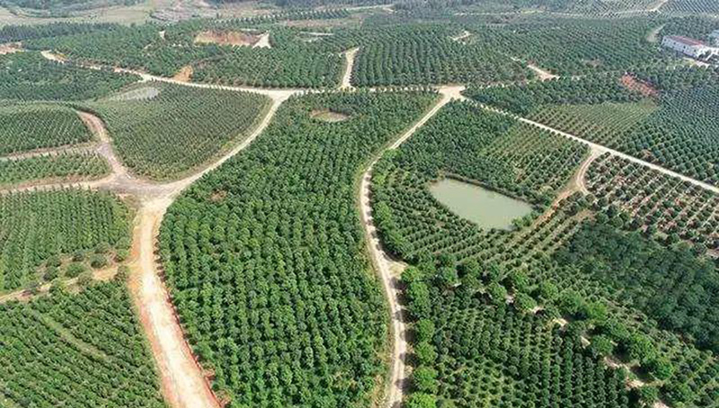 1606980197930509.jpg 微信圖片_20201203151133.jpg