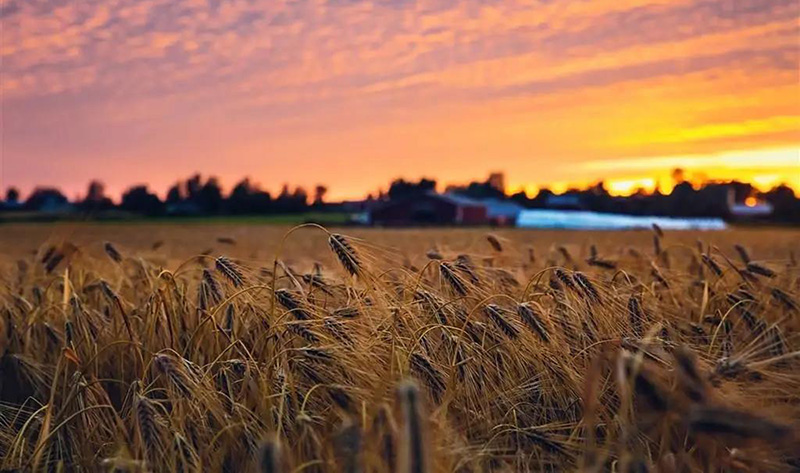 1606980206386758.jpg 微信圖片_20201203151139.jpg