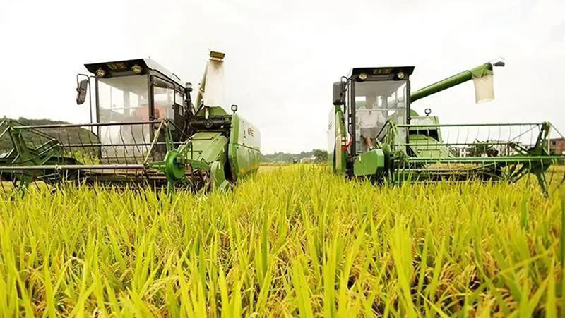 1606980214380238.jpg 微信圖片_20201203151136.jpg