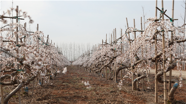 1611535274659049.jpg 02.jpg